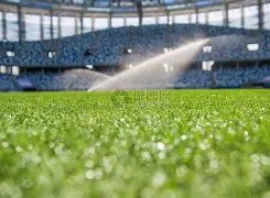 勒沃库森连,胜纪录不断,大胜杜塞尔,皇冠体育,皇冠体育入口,皇冠体育平台,皇冠体育官方