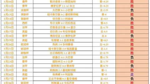 大连队1-3不敌山东泰山，中超第10轮廖力生远程建功，费莱尼贡献关键球